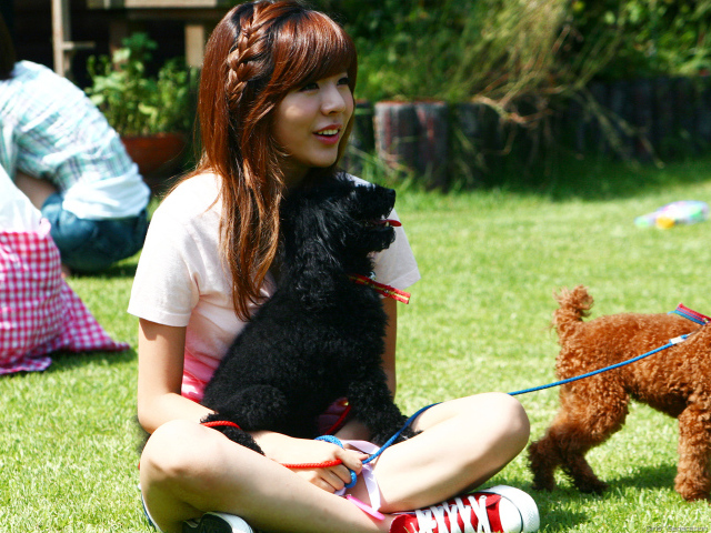 Девочка с собаками сидит на траве