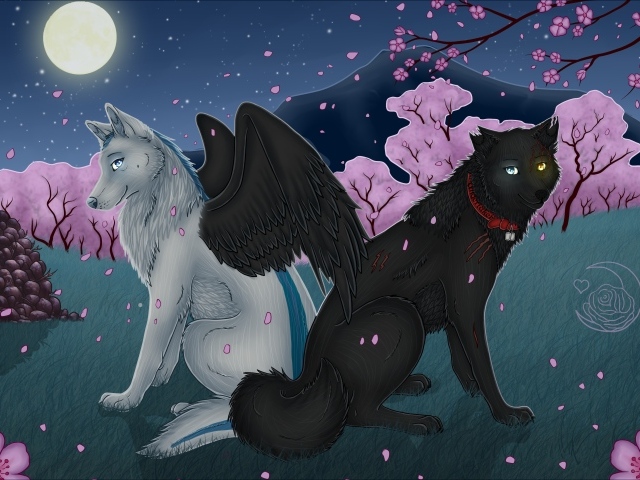 Волки с крыльями