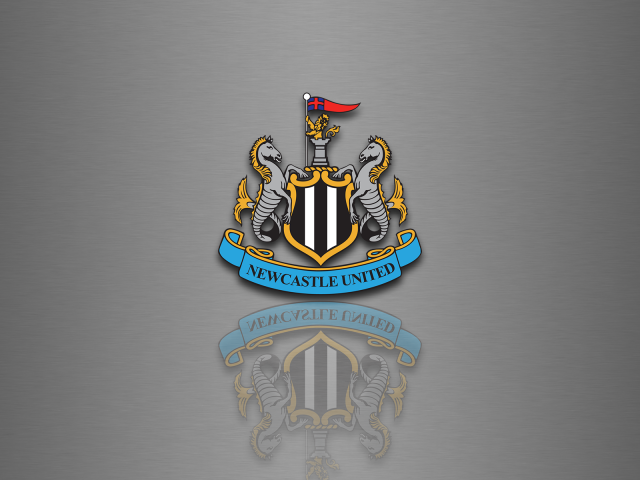 Известная футбольная команда Англии Ньюкасл Юнайтед