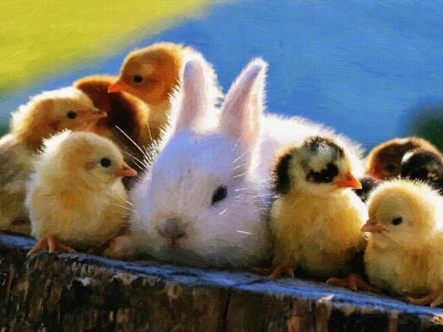 Кролик среди желтых цыплят