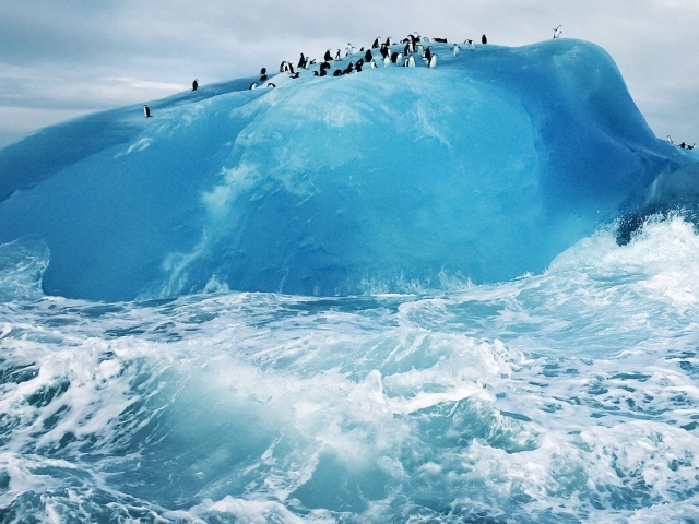 Пингвины на голубом льду айсберга