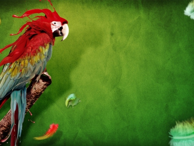Красочный попугай на зеленом фоне
