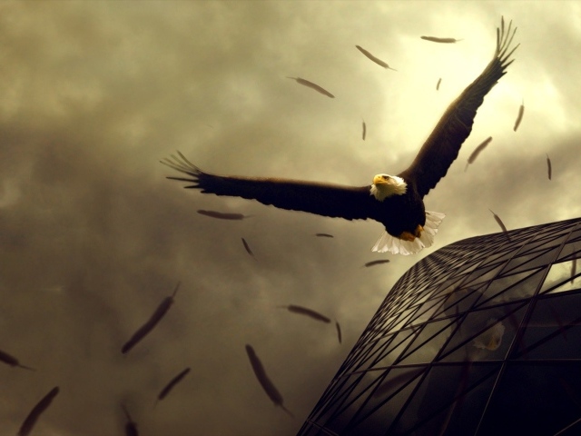 Орел теряет перья в полете