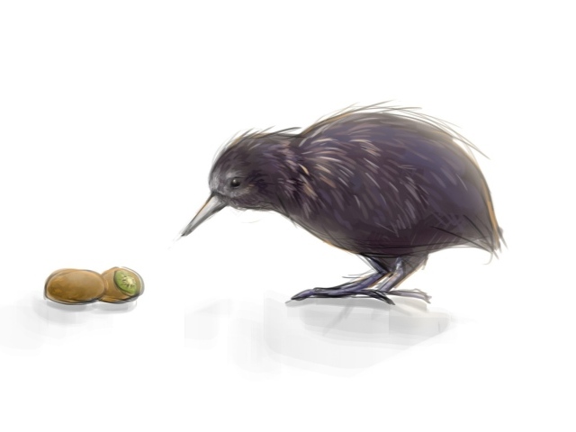 Киви это и птица и фрукт