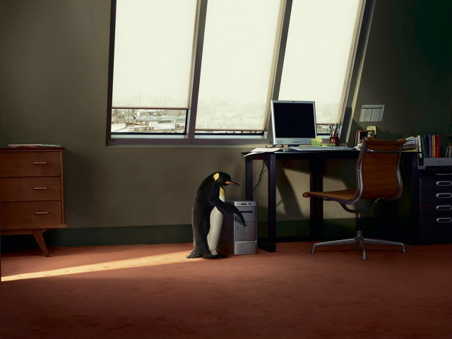 Пингвин и компьютер
