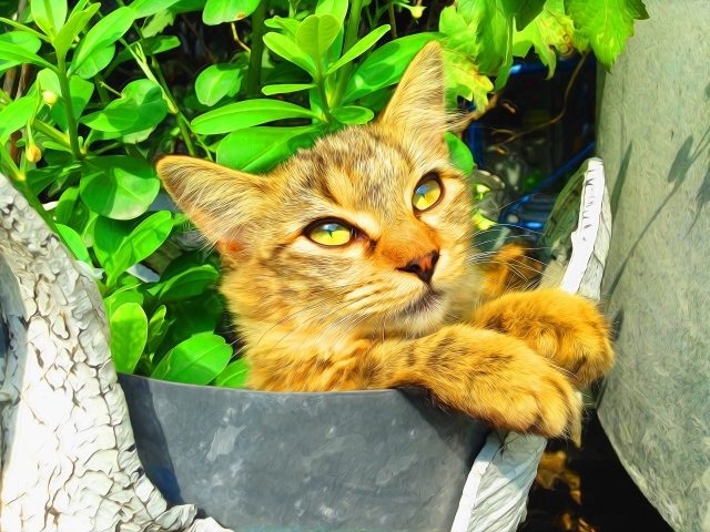 Милый рыжий кот на фоне зелени