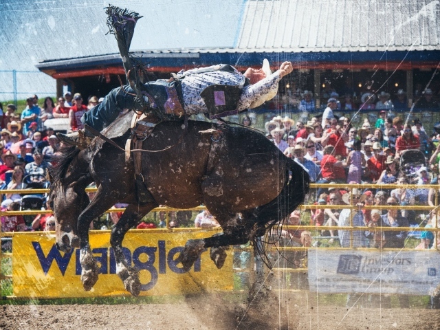 Всадник на лошади во время родео