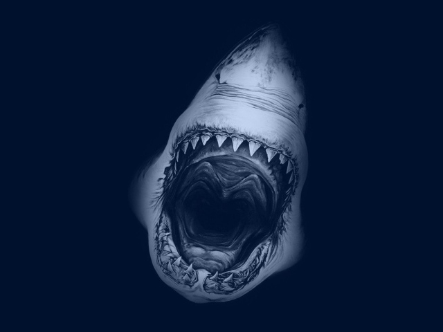 Смертельный оскал акулы