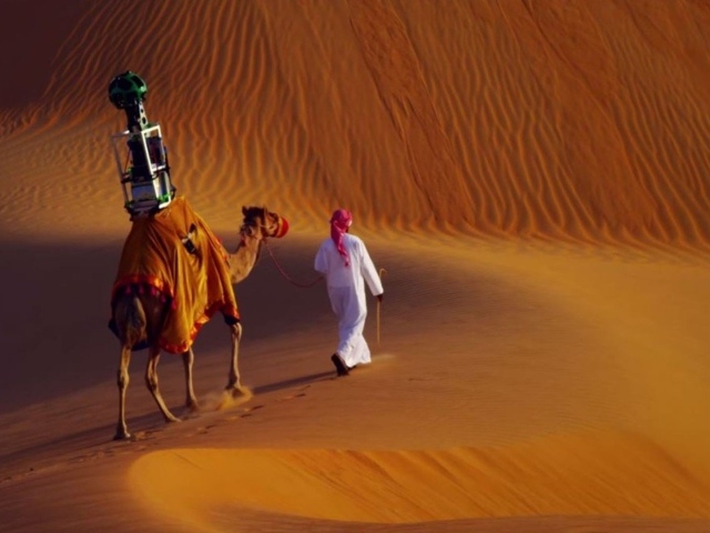 Бедуин с верблюдом в пустыне