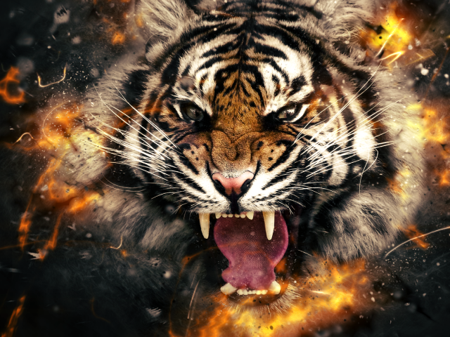 Огненный злой тигр