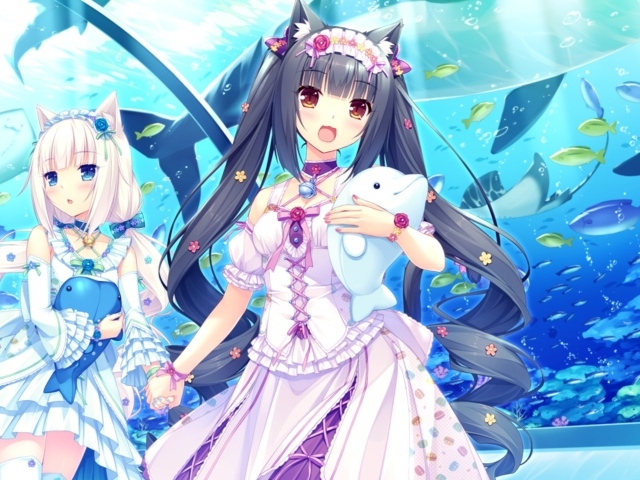 Девушки аниме в океанариуме, Neko Para