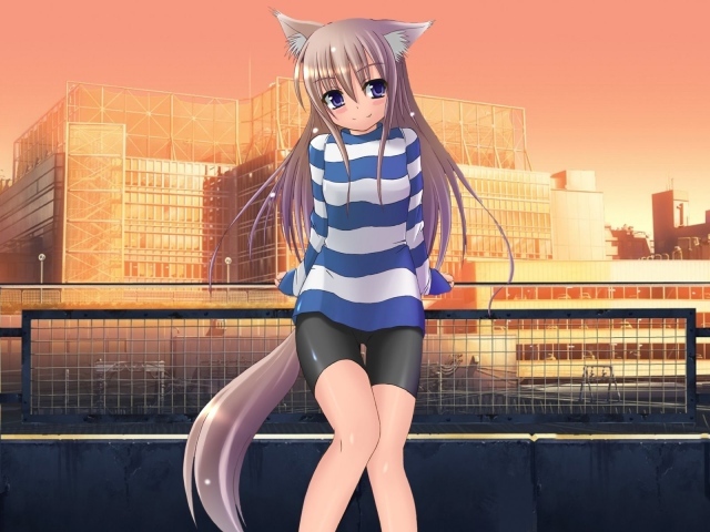 Девочка кошка на фоне зданий, аниме