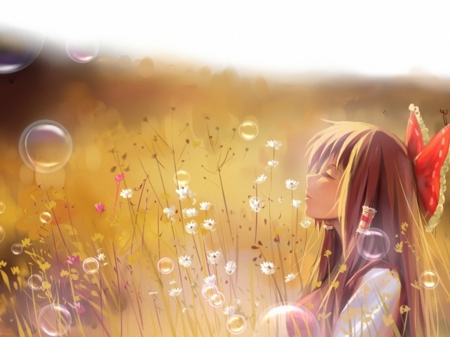Девочка в поле, аниме Touhou Project