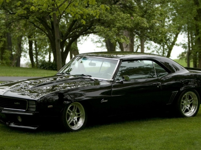 Черный Chevrolet Camaro RS на газоне
