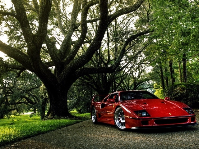 Красный Ferrari под деревом