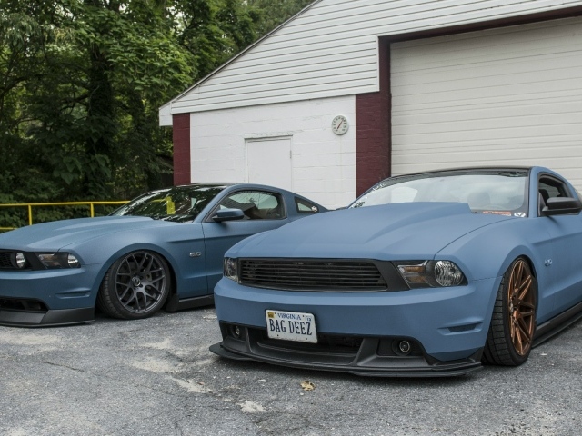 Два автомобиля Ford Mustang GT 5.0