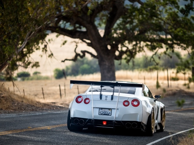 Белый Nissan GT-R на загородном шоссе
