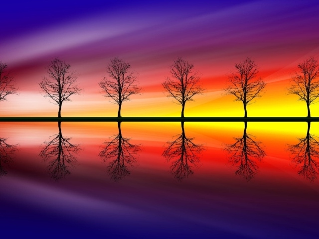 Голые деревья на фоне красочного заката