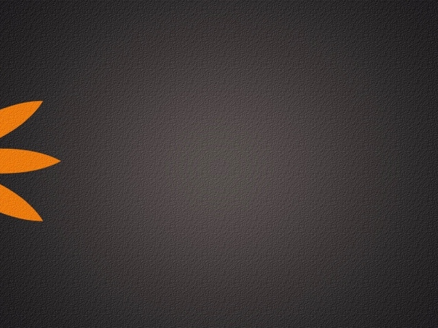 Серый фон, оранжевый цветок