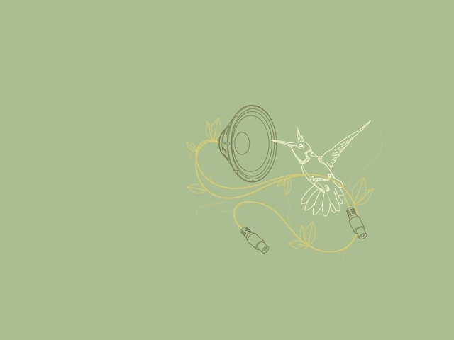 Колибри поет, серый фон