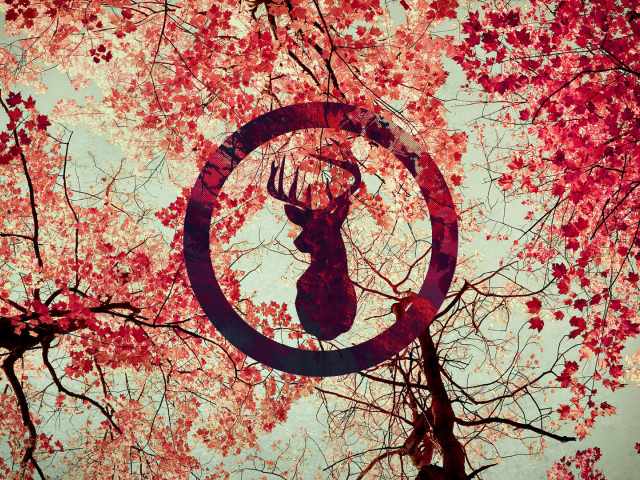 Силуэт оленя на фоне осенних листьев