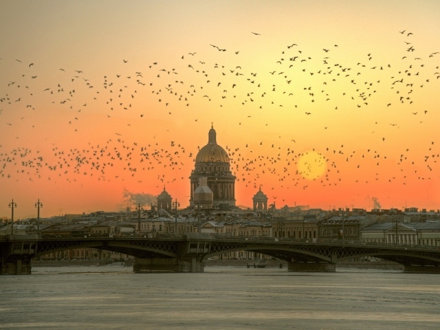 Стая птиц над Невой