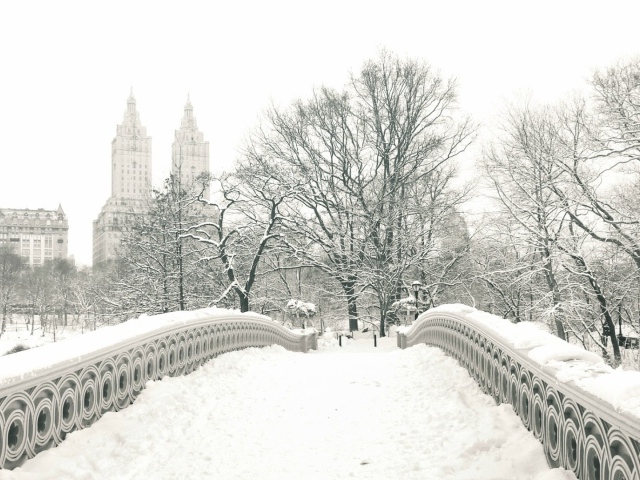 Мост в центральном парке Нью-Йорка