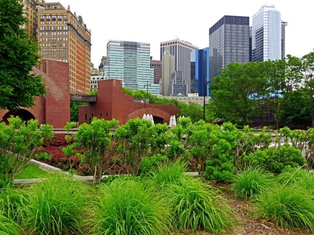 Зеленый парк в центре города