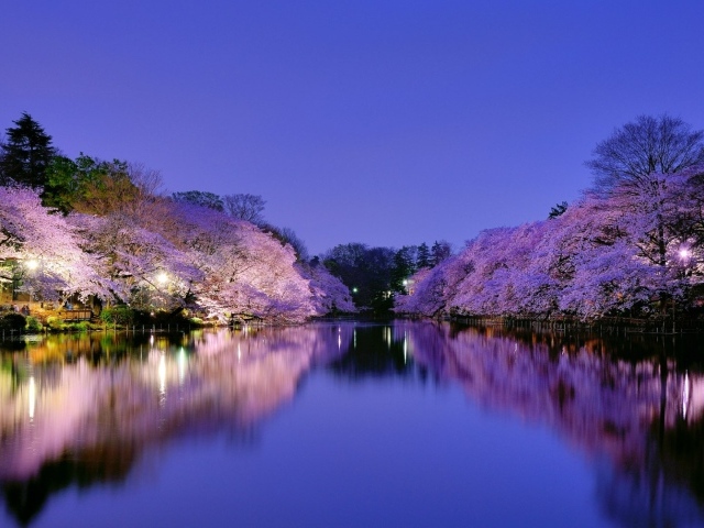 Парк в Осаке, Япония