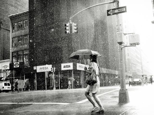 Дождь на 5-й Авеню. Нью-Йорк