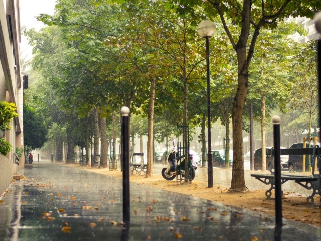 Улица Парижа во время дождя