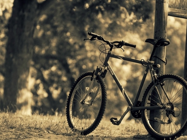 Велосипед стоит у стойки в парке