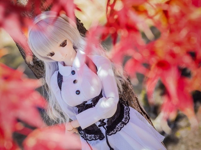 Кукла среди осенней листвы