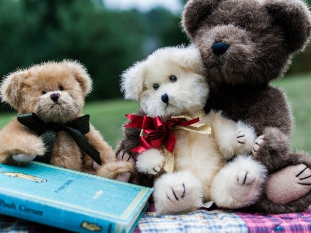 Семейство плюшевых медведей с книгой