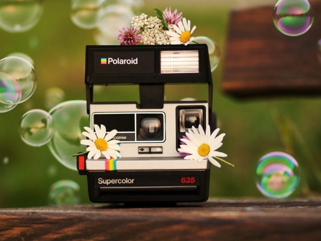 Цветы на фотоаппарате Полароид