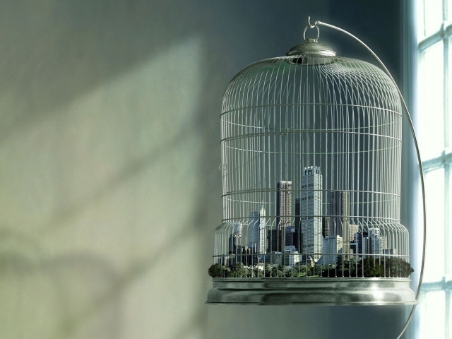 Мегаполис в птичьей клетке