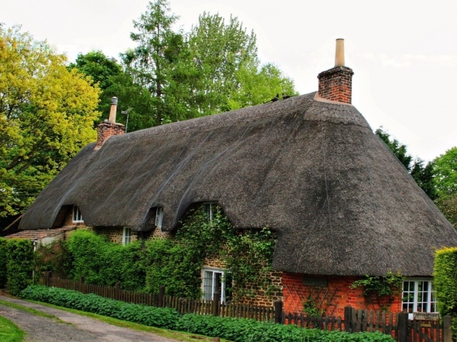 Старый дом, увитый плющом