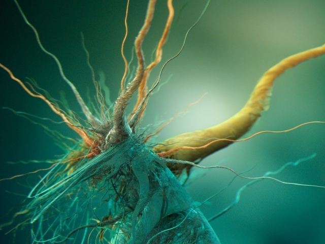 Фото микроорганизма под увеличением