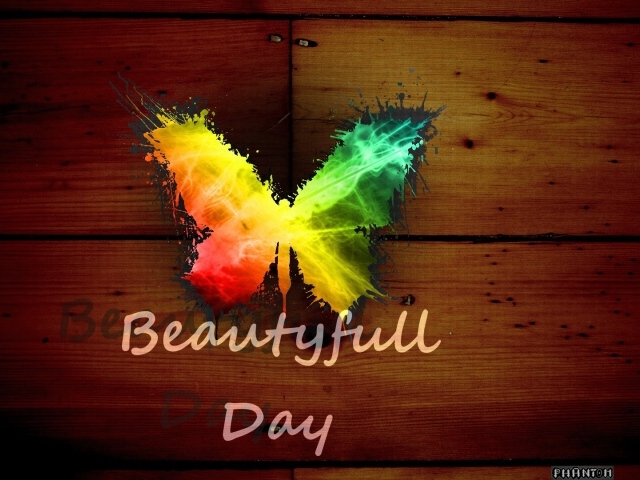 Радужная бабочка, прекрасный день