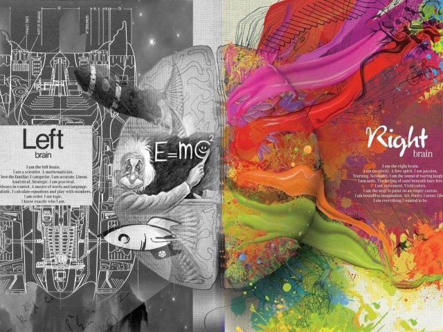 Левое и правое полушария мозга