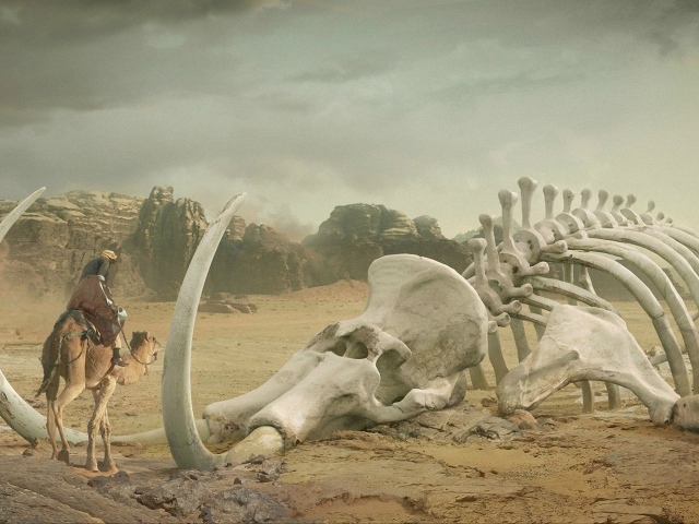 Скелет мамонта в пустыне