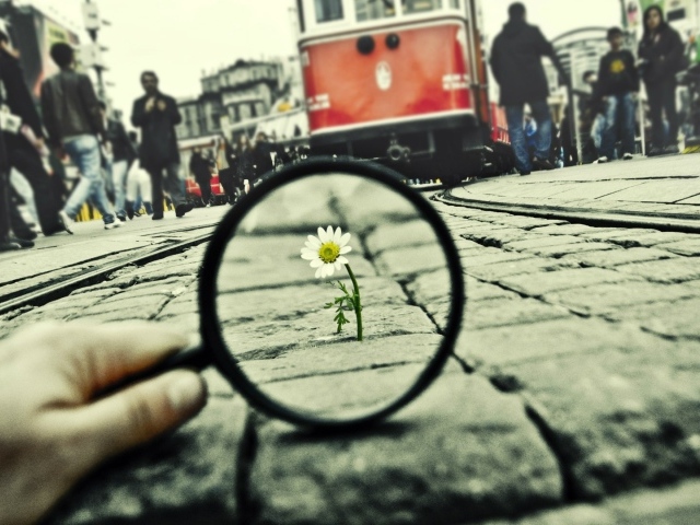 Воля к жизни, достойная уважения