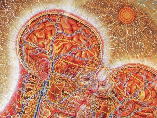 Настоящая химия любви