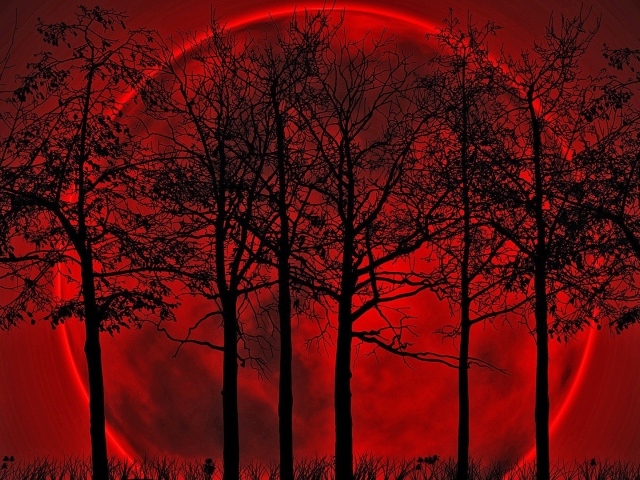 Деревья на фоне кровавой луны
