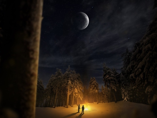 Костер в лесной чаще