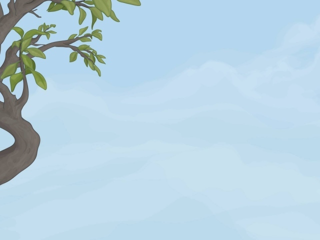 Кривое дерево