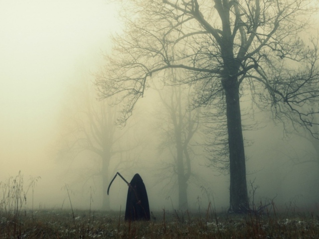 Смерть в темном лесу