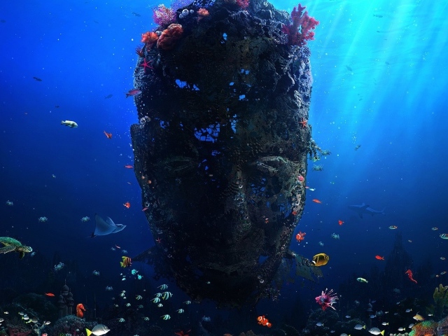 Лицо из кораллов под водой