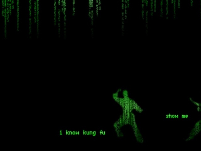 Кунг-фу в Матрице