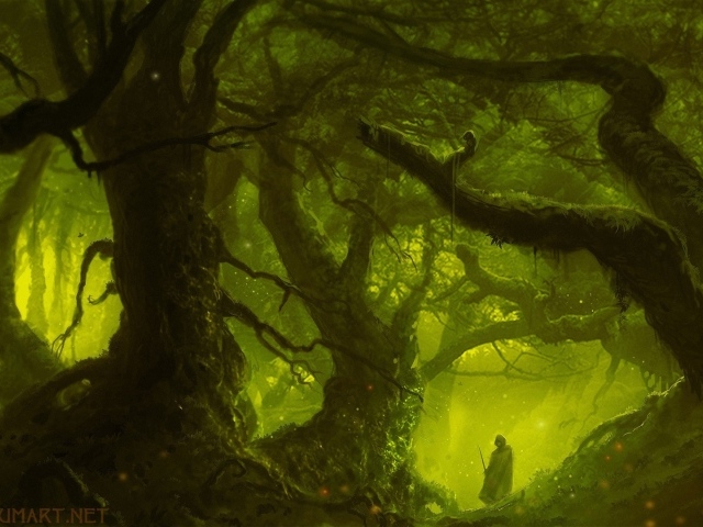 Магический лес в зеленой мгле